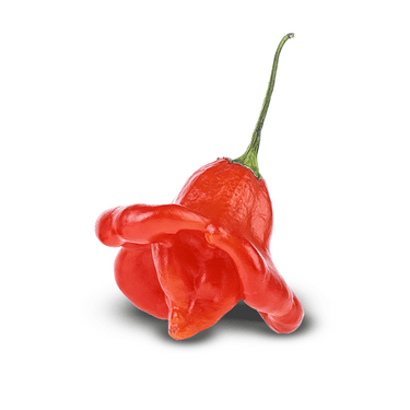 Bishops Crown Pepper Seeds - The Pepper Pantry (Formerly Marie Sharp's)